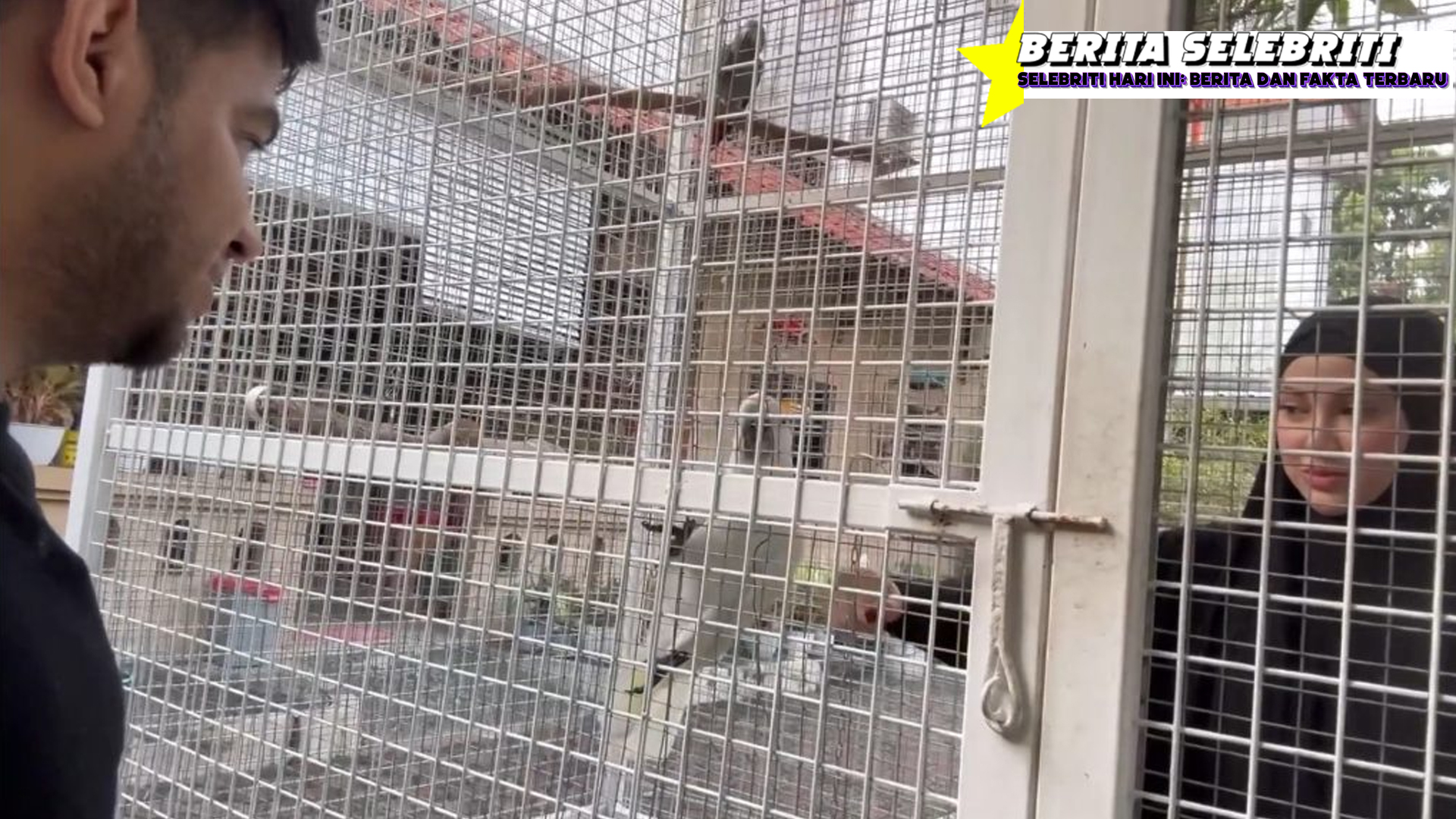 Dihukum Yislam: Fadil Jaidi Masukkan Miskah ke Kandang Burung