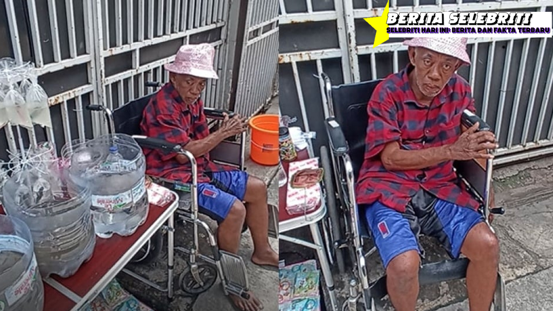 Pak Tarno Jual Ikan Cupang Kursi Roda Viral di Media Sosial!