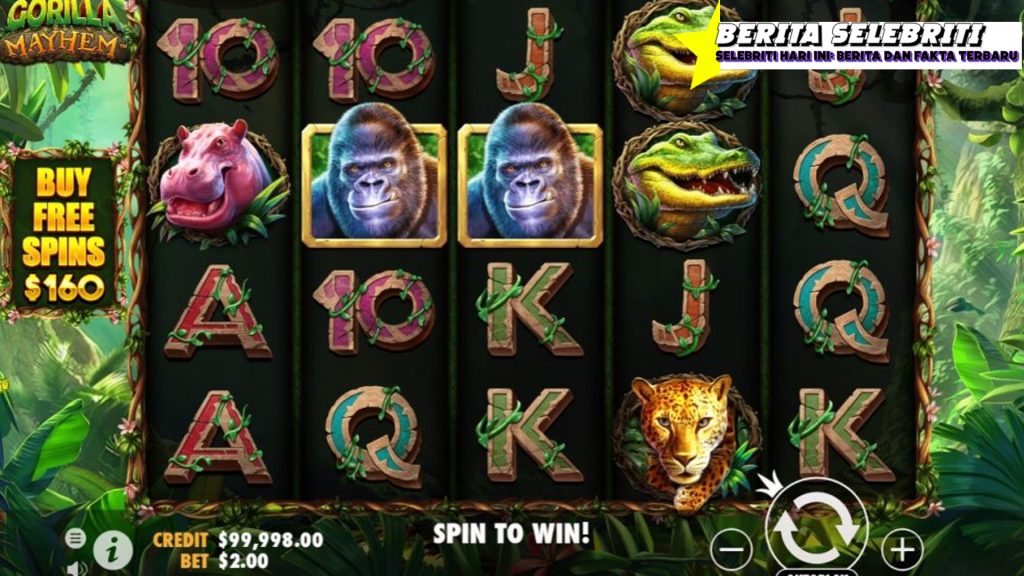 RUBY8000 dan Gorilla Mayhem, Kombinasi Panas!