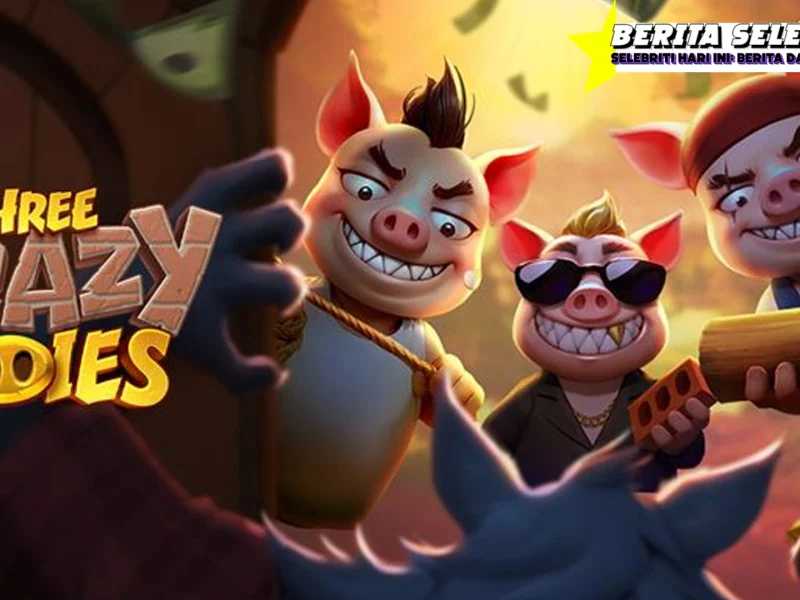 Three Crazy Piggies Pemula, Langsung Paham!